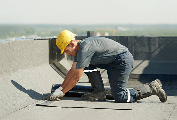 Best Eco-Friendly Insulation in Bokeelia, FL